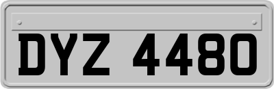 DYZ4480