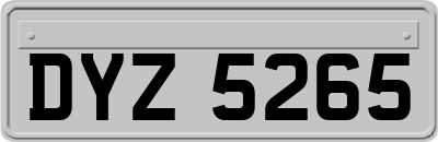 DYZ5265