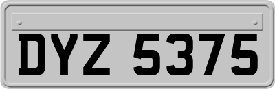 DYZ5375