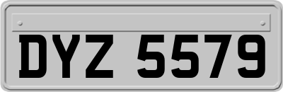 DYZ5579