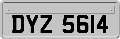 DYZ5614