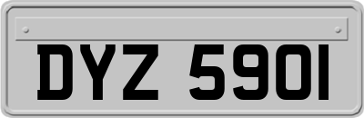 DYZ5901