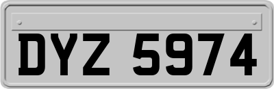 DYZ5974