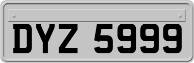 DYZ5999