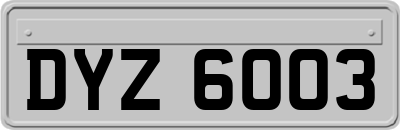 DYZ6003