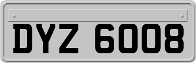 DYZ6008