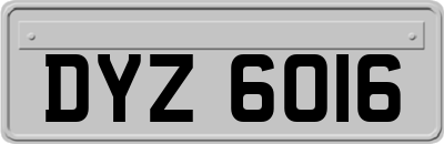 DYZ6016