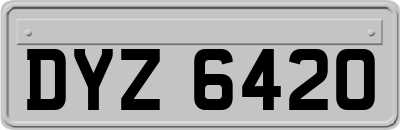 DYZ6420