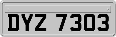 DYZ7303