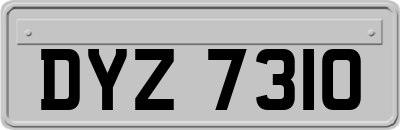 DYZ7310