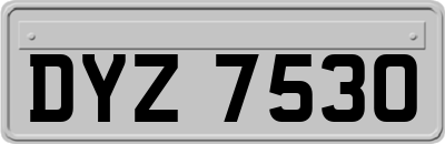DYZ7530