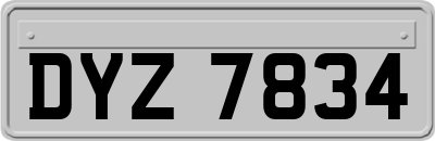 DYZ7834