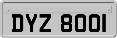 DYZ8001
