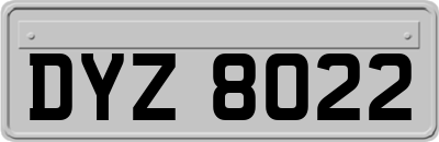 DYZ8022