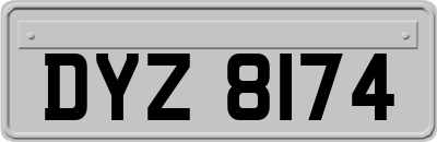 DYZ8174