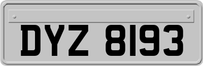 DYZ8193