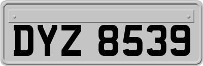 DYZ8539