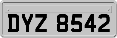 DYZ8542