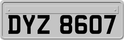 DYZ8607