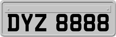 DYZ8888