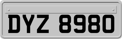 DYZ8980