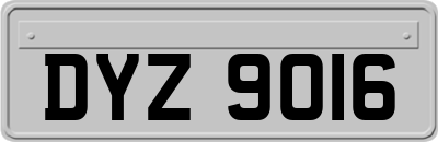 DYZ9016