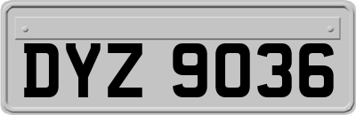DYZ9036