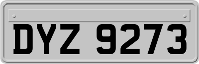 DYZ9273