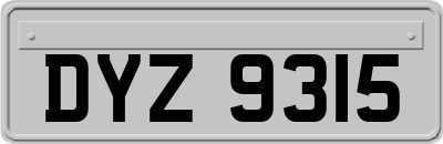 DYZ9315