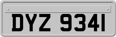 DYZ9341