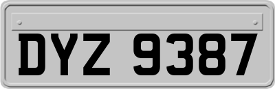 DYZ9387