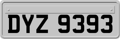 DYZ9393