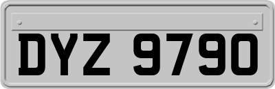 DYZ9790