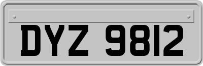 DYZ9812