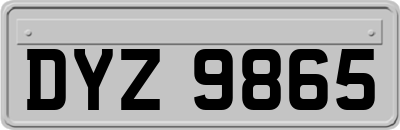DYZ9865
