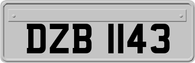 DZB1143