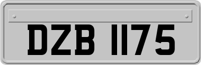 DZB1175