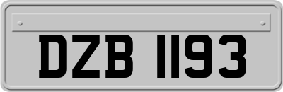 DZB1193