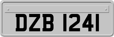 DZB1241
