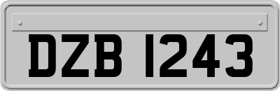 DZB1243
