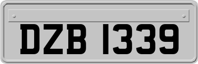 DZB1339