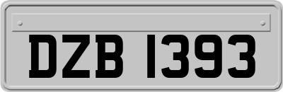 DZB1393