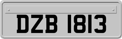 DZB1813
