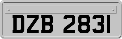 DZB2831
