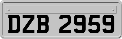 DZB2959