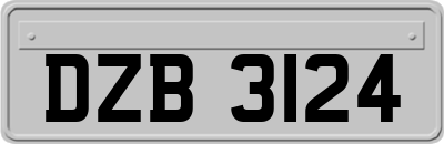 DZB3124