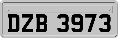 DZB3973