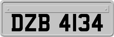 DZB4134