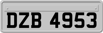DZB4953