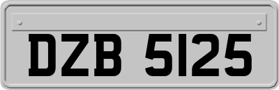 DZB5125